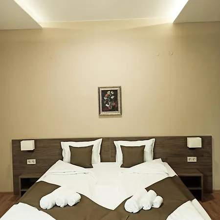 Hotel хотел театъръ Pleven