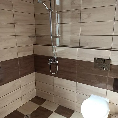 Hotel хотел театъръ Pleven