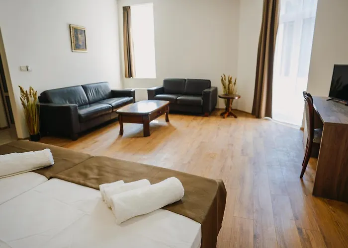 Hotel хотел театъръ Pleven