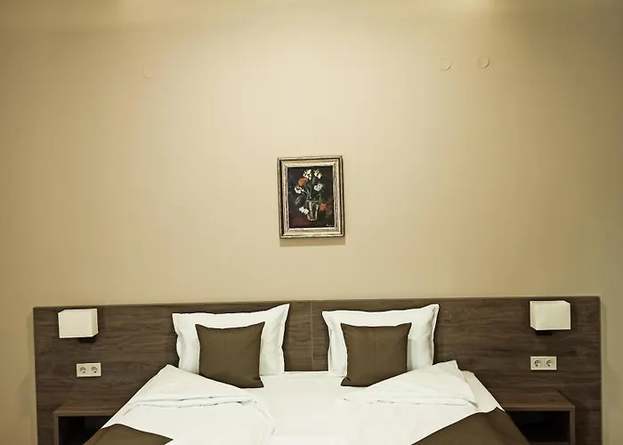 Hotel хотел театъръ Pleven